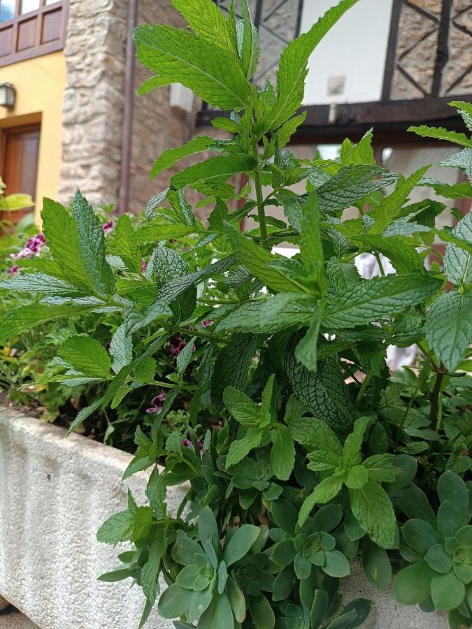 Romantico Acogedor Apartamento En リャネス エクステリア 写真